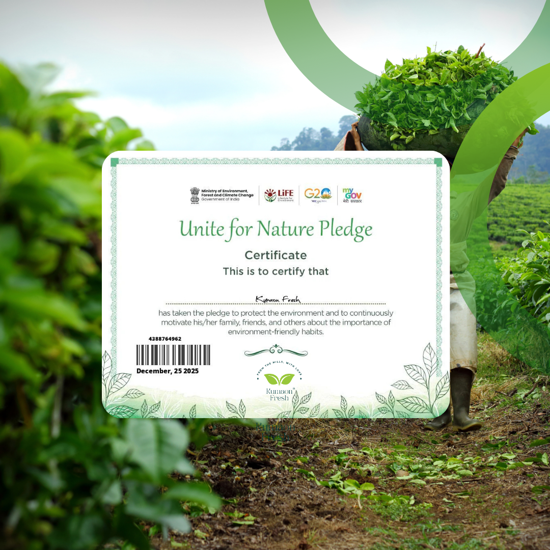 Pahadi Ragi Flour - 500gm